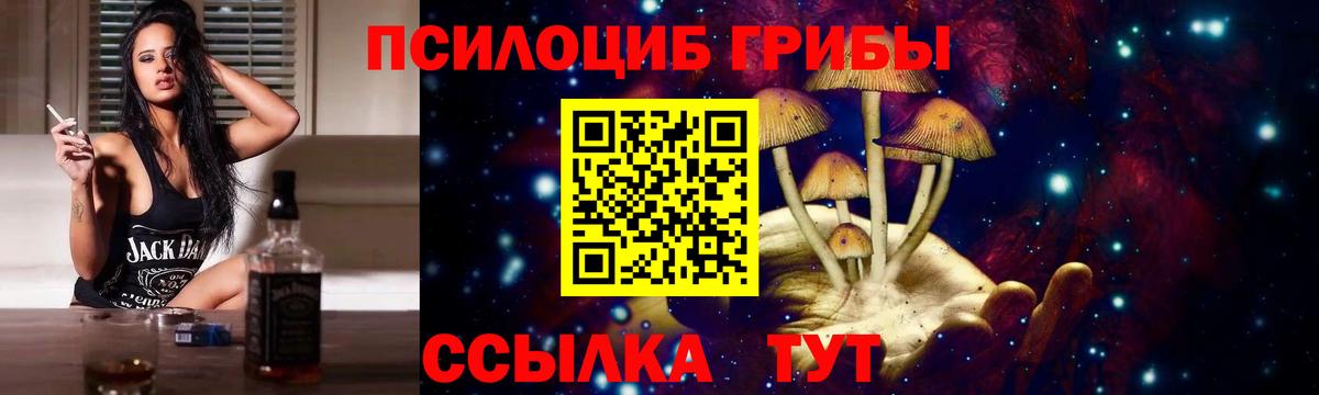 Псилоцибиновые грибы мицелий Лосино-Петровский